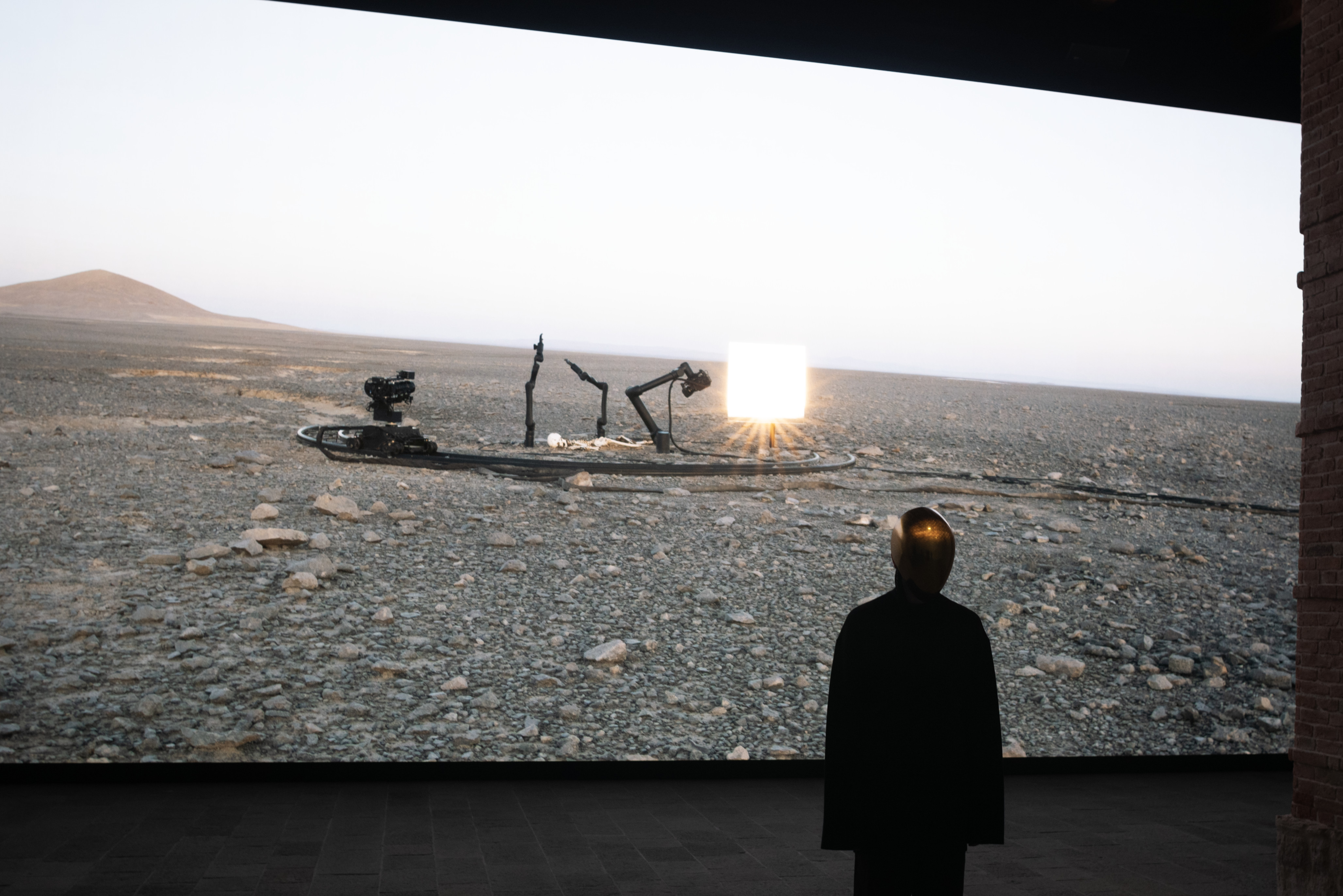 Liminal Pierre Huyghe