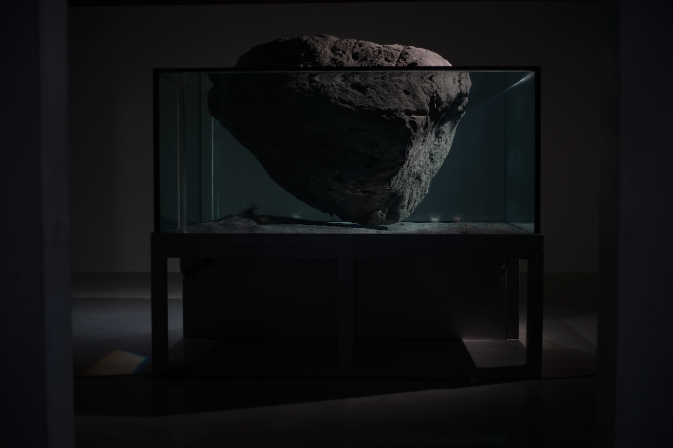 Cambrian Explosion 19, 2013. Aquarium, horseshoe, arrow crabs, anemones, sand, floating rock Tank: 101 x 220 x 190 cm Base: 73 x 220 x 190 cm Courtesy of the artist and Hauser & Wirth Installation view, Pierre Huyghe, Liminal, Punta della Dogana, Venice, 2024 Photo credit: Ola Rindal