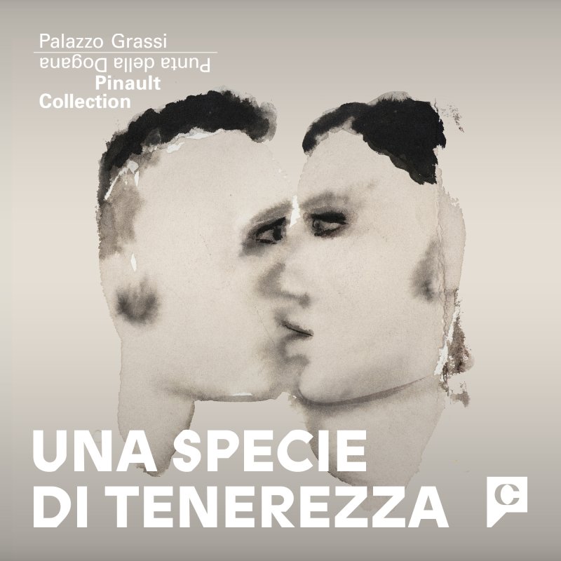 Una specie di tenerezza