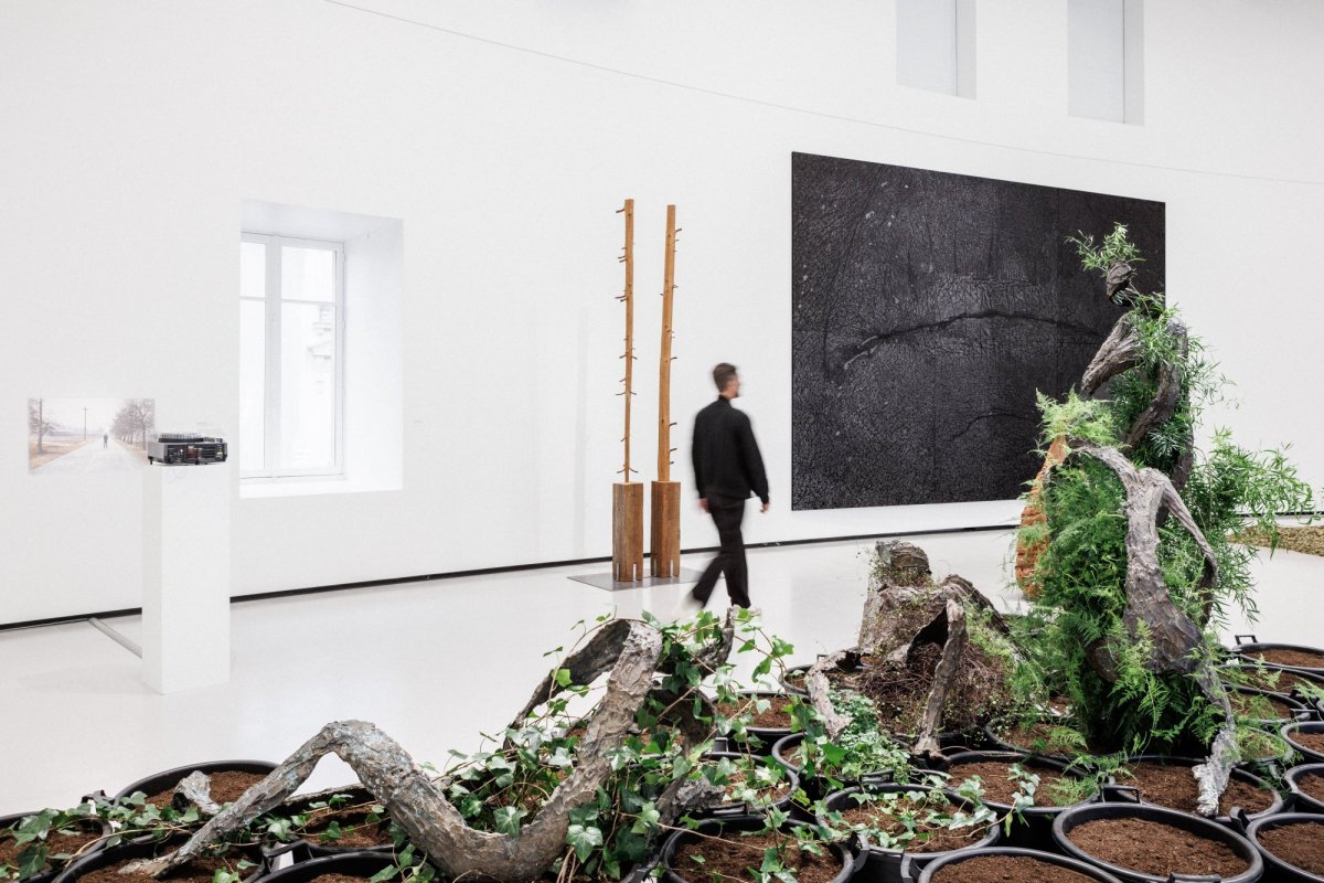 Vue de l’exposition « Arte Povera », Bourse de Commerce – Pinault Collection, Paris, 2024. © Tadao Ando Architect & Associates, Niney et Marca Architectes, agence Pierre-Antoine Gatier. Photo : Florent Michel / 11h45 / Pinault Collection.